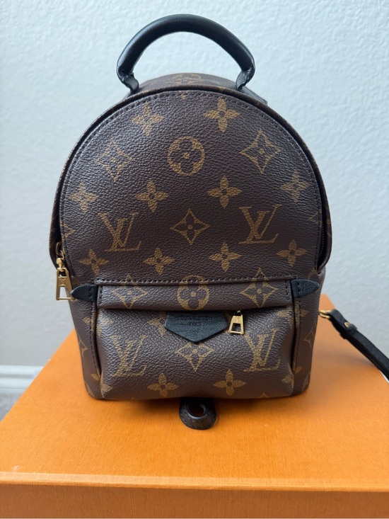 Louis Vuitton Handbags - Louis Vuitton Palm Springs mini Backpack